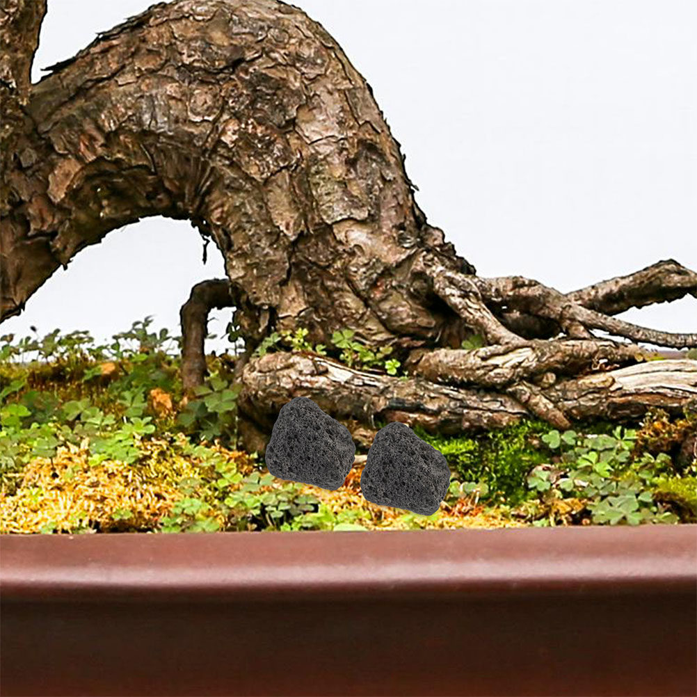 Aquarium Planted Tank Filter - Piedras Volcánicas Naturales para Acuarios, Piedras