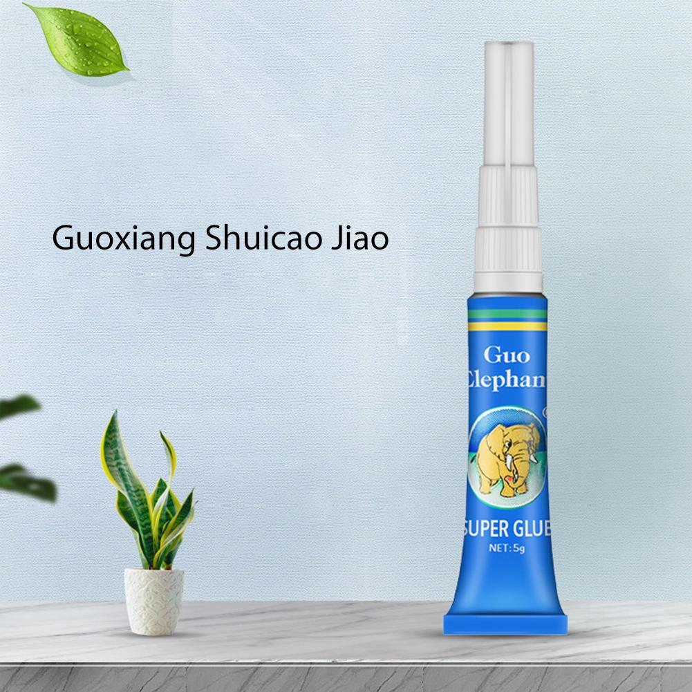 Aquarium Plant Glue - Pegamento para Musgo de Acuario, Adhesivo