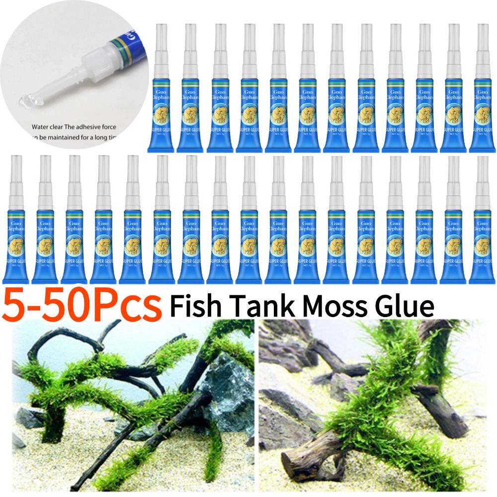 Aquarium Plant Glue - 50-5 uds pecera paisajismo musgo pegamento