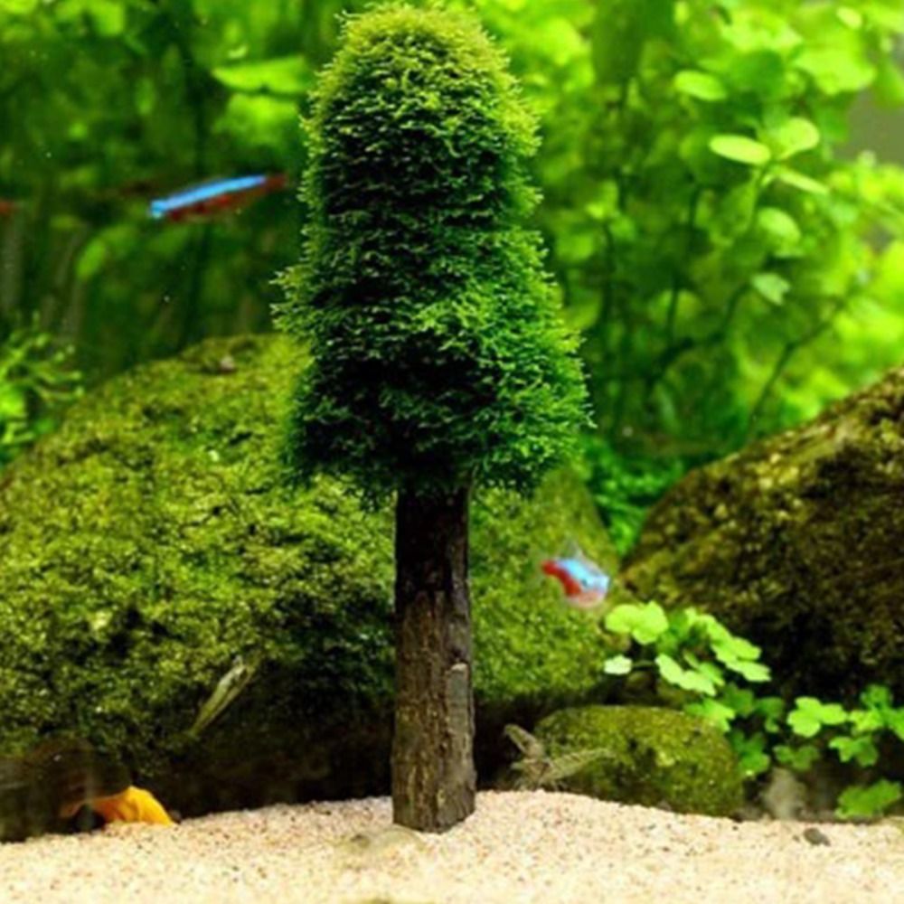 Árbol de Navidad de Simulación - Planted Aquarium Moss reseña y precio