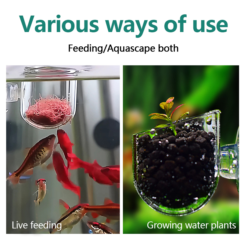 Copa de acrílico para plantas  - Aquarium Plant Utensils reseña y precio