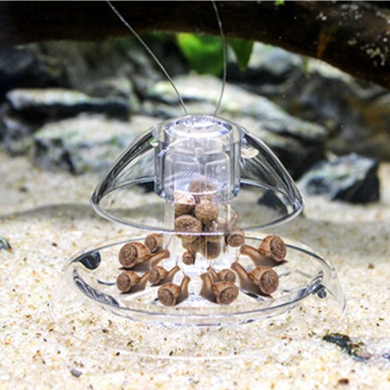 Limpiador de plástico para pec - Aquarium Plant Utensils reseña y precio