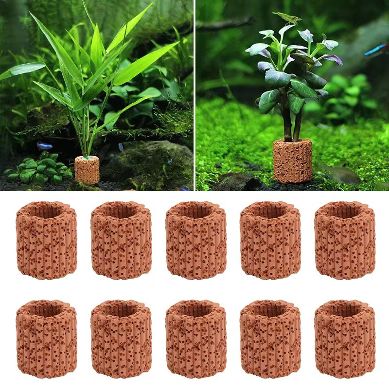 Anillo fijo para plantas acuát - Aquarium Plant Utensils reseña y precio