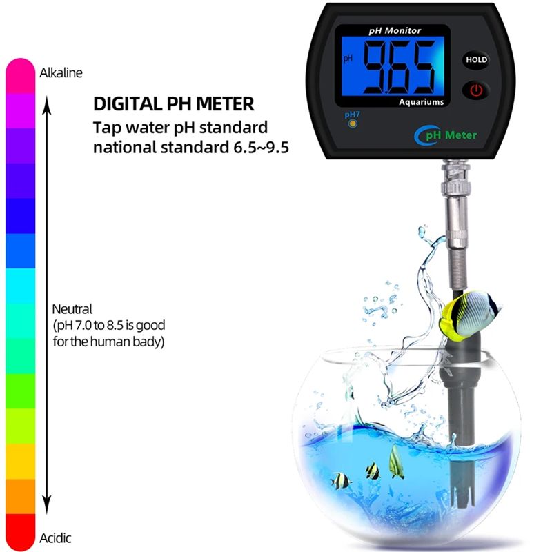 Medidor de PH en línea M12K-PH - Planted Aquarium Ph reseña y precio