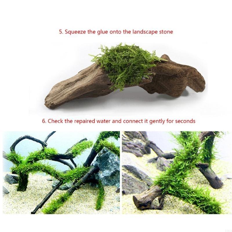25 uds acuario para paisajismo - Aquarium Plant Glue reseña y precio