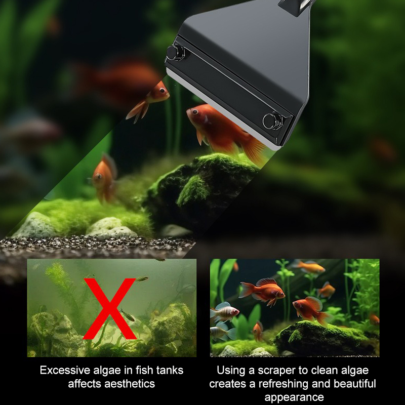 Removedor de algas para acuari - Aquarium Plant Utensils reseña y precio