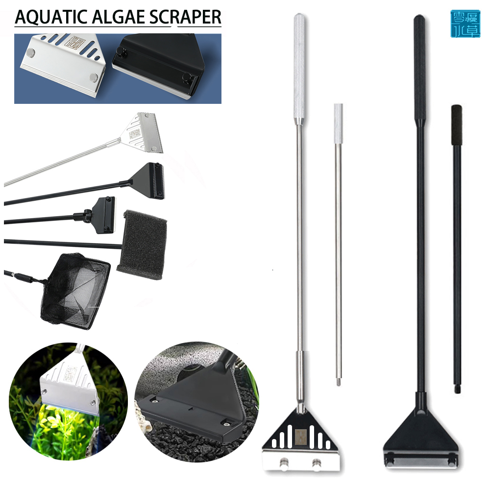 Hoja raspadora de algas para a - Planted Aquarium Cleaning Kit reseña y precio