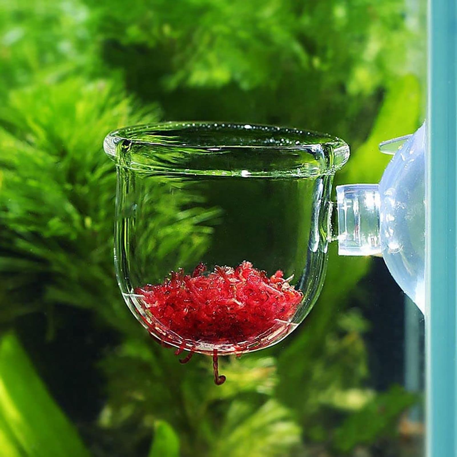 Maceta de acrílico para planta - Aquarium Plant Utensils reseña y precio