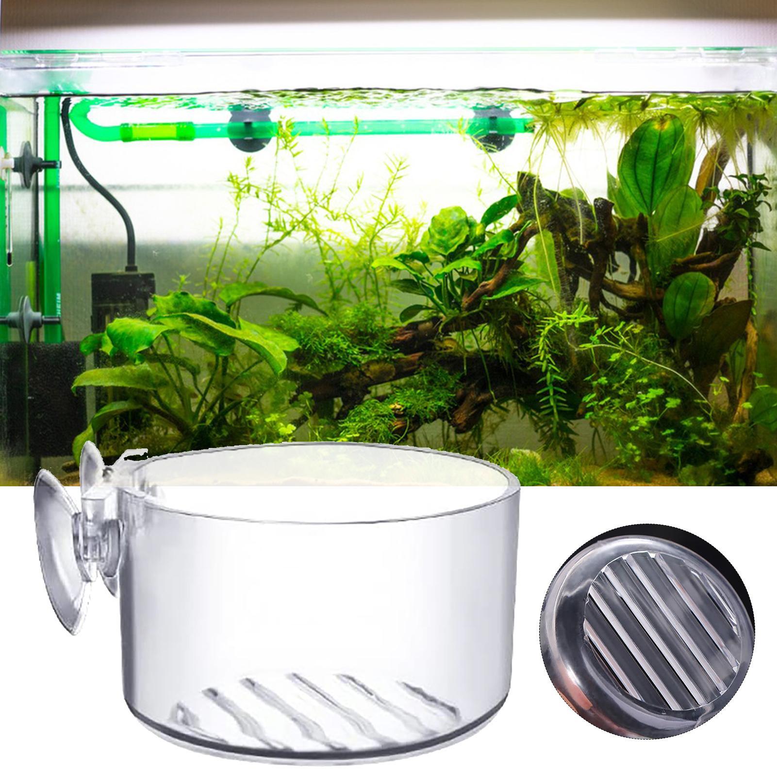 Maceta de acrílico para planta - Aquarium Plant Utensils reseña y precio