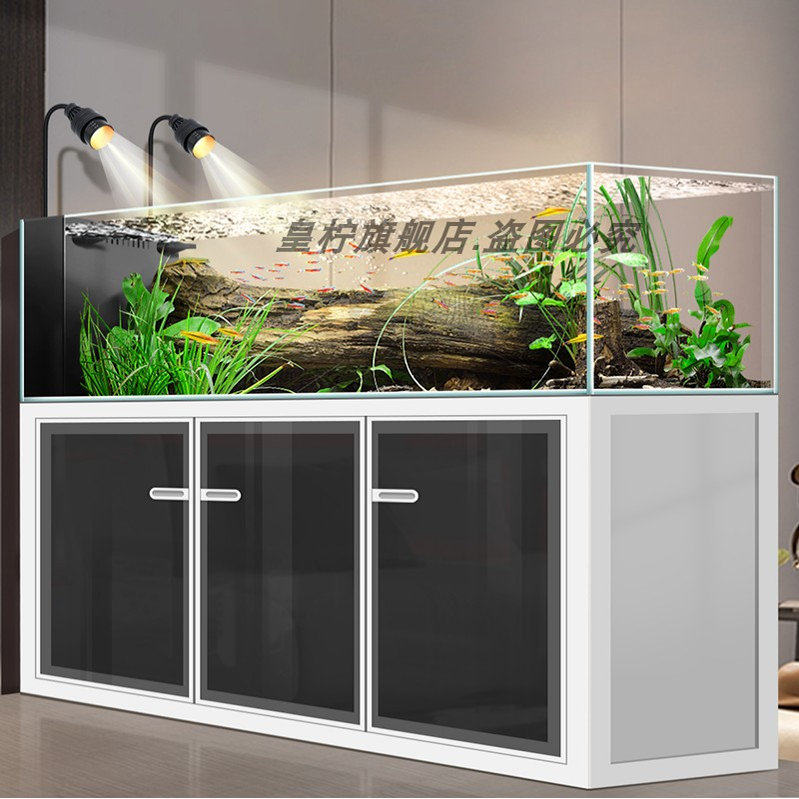 Acuario Yjq Industrial Wind St - Aquarium Plant Gel reseña y precio