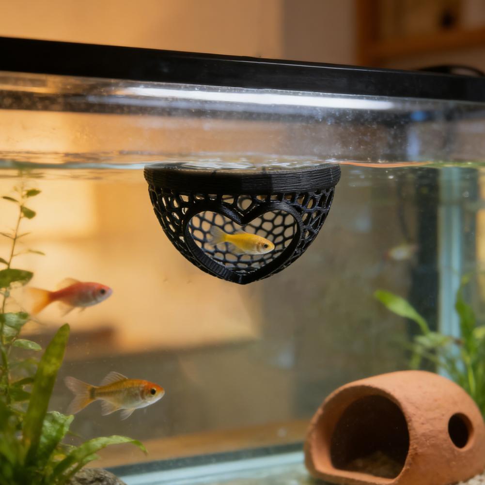 Cueva de Escondite para Acuari - Planted Aquarium Without Fish reseña y precio