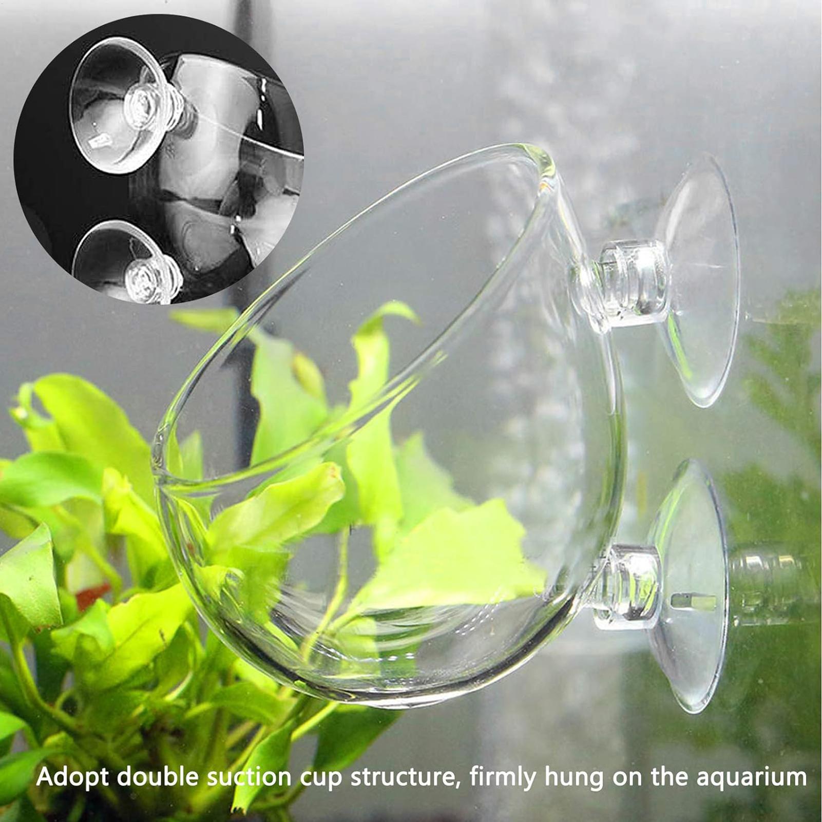 Maceta de vidrio para acuario  - Aquarium Plant Gel reseña y precio