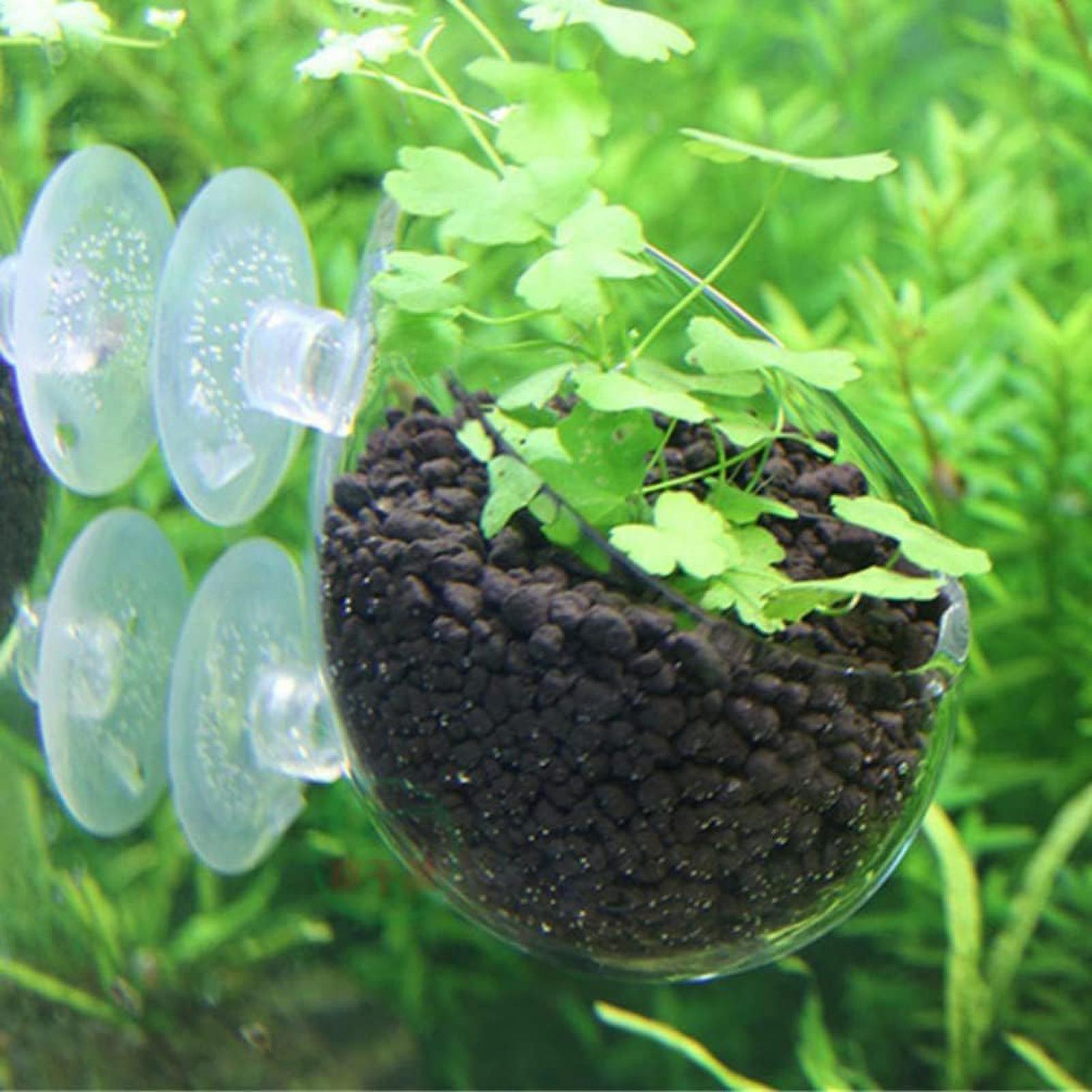 Maceta de vidrio para acuario  - Aquarium Plant Gel reseña y precio