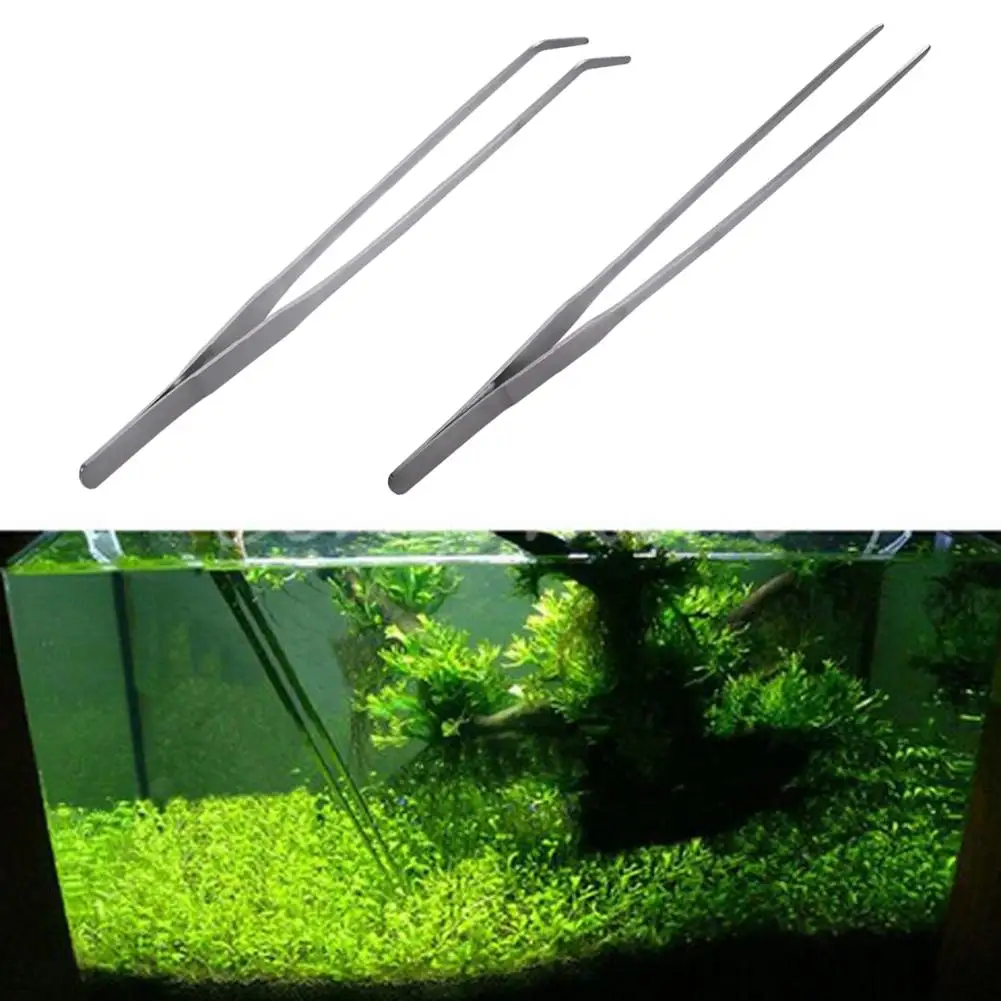 Pinzas rectas de acero inoxida - Aquarium Plant Utensils reseña y precio
