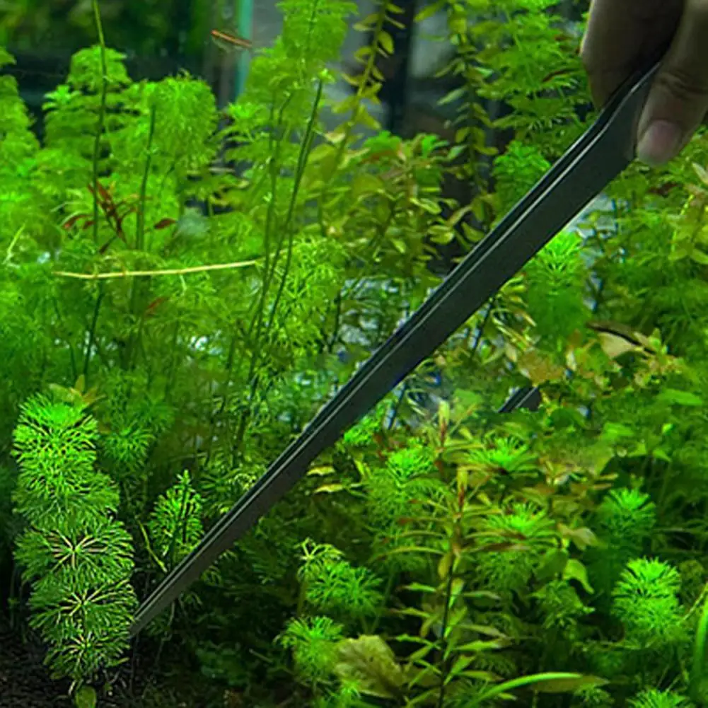 Pinzas rectas de acero inoxida - Aquarium Plant Utensils reseña y precio