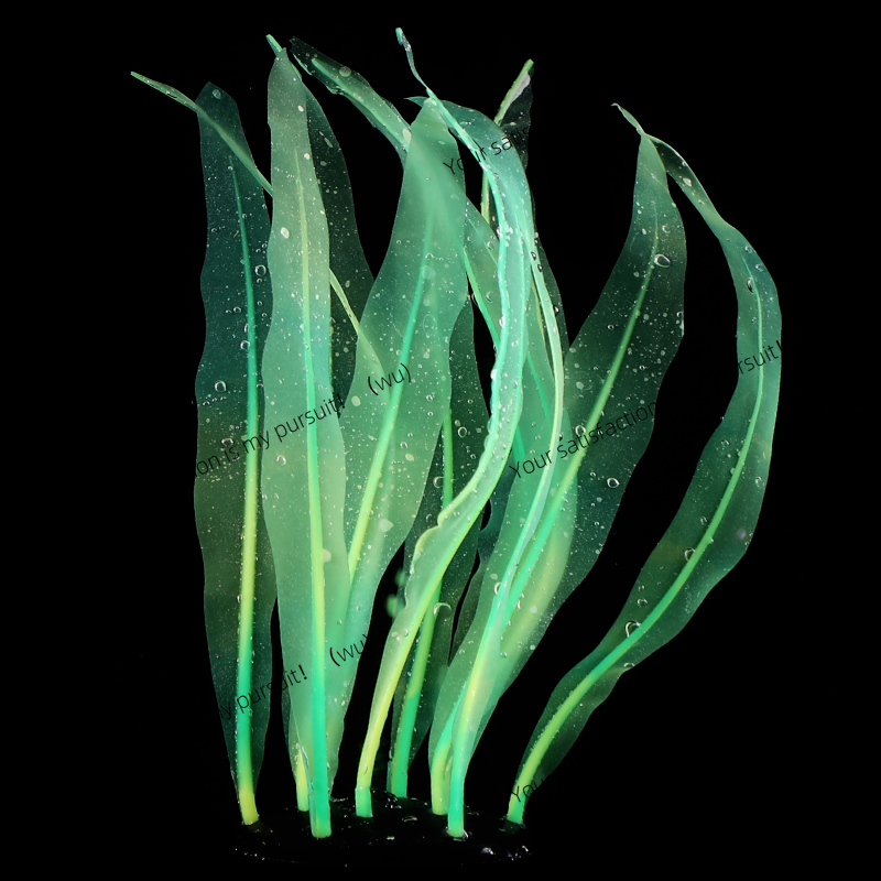 Decoración de plantas de Kelp  - Aquarium Plant Gel reseña y precio