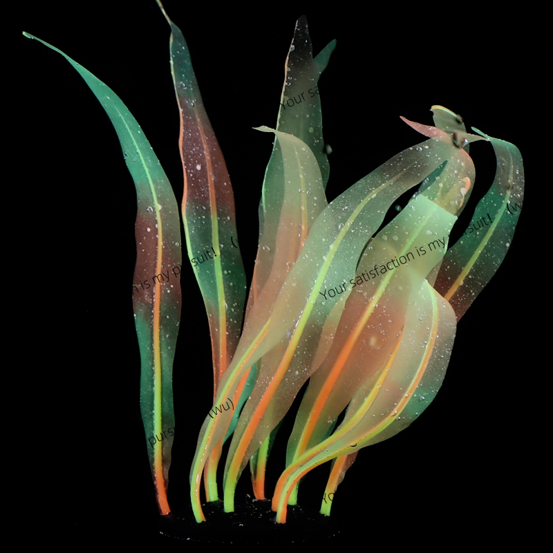 Decoración de plantas de Kelp  - Aquarium Plant Gel reseña y precio