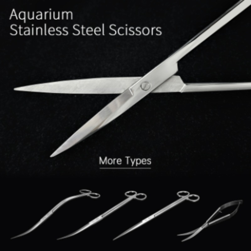 Tijeras para Plantas Acuáticas - Aquarium Plant Utensils reseña y precio