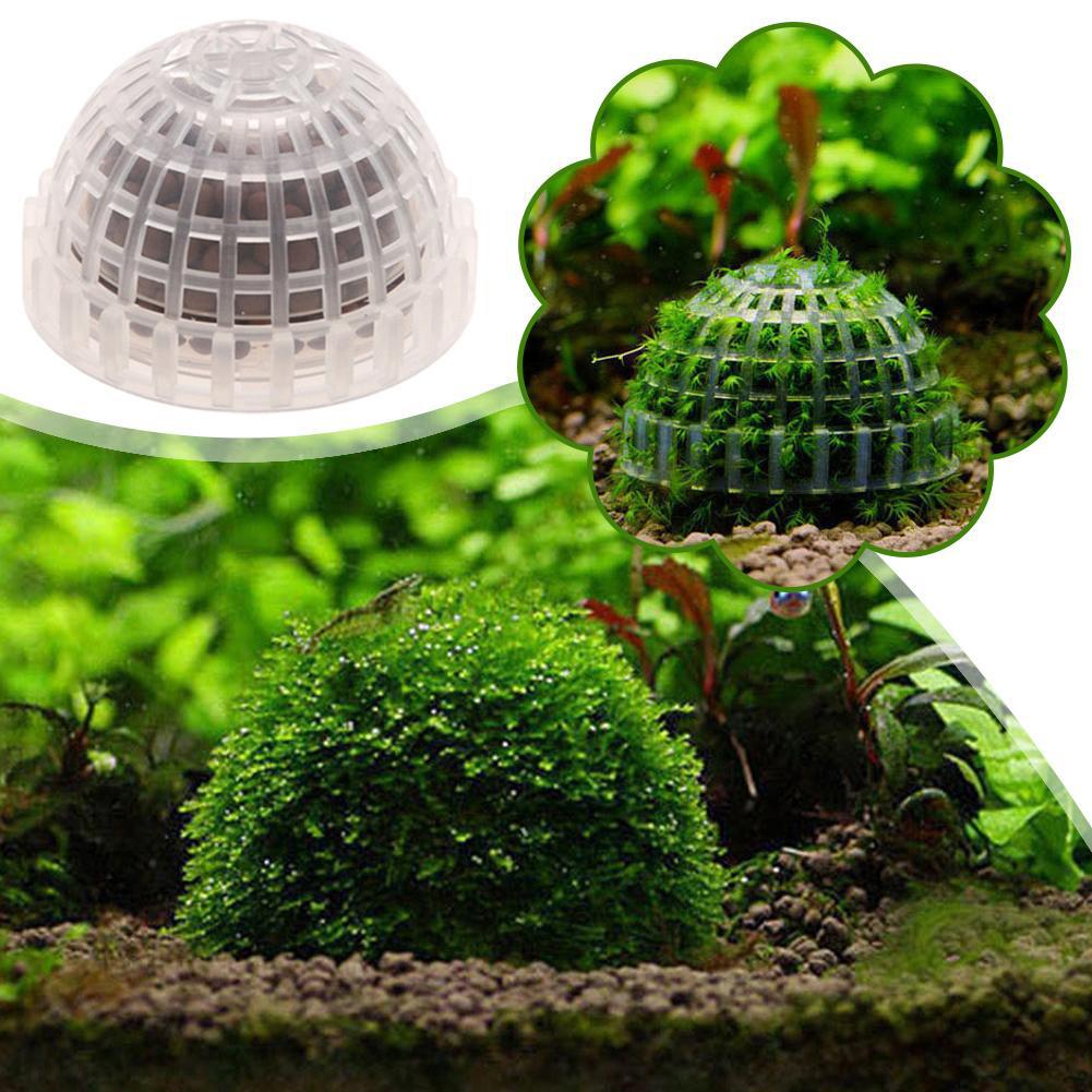 1/2/3/4/5 Unidades de Plantas  - Aquarium Planted Tank Filter reseña y precio