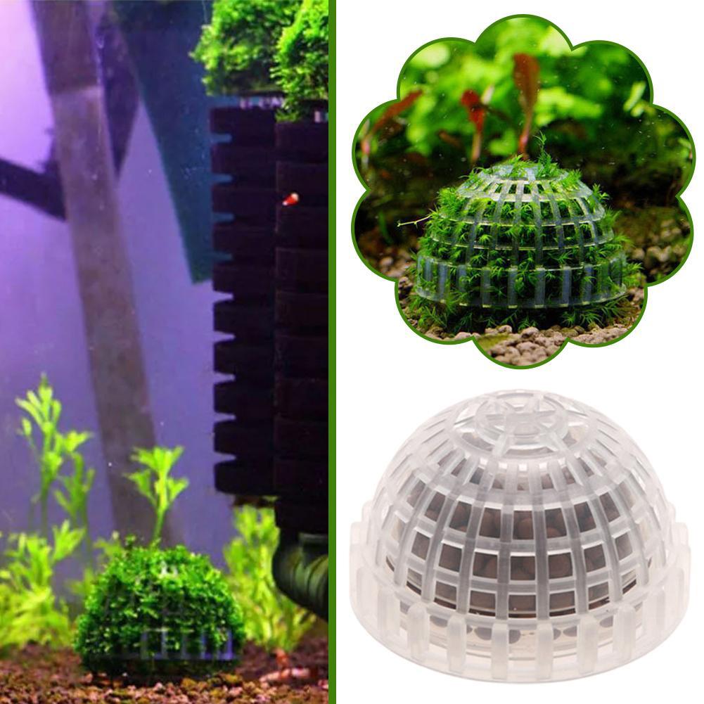 1/2/3/4/5 Unidades de Plantas  - Aquarium Planted Tank Filter reseña y precio
