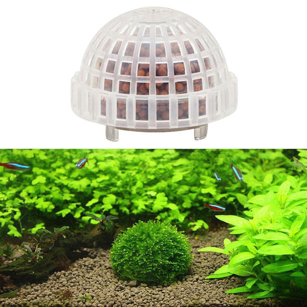 1/2/3/4/5 Unidades de Plantas  - Aquarium Planted Tank Filter reseña y precio