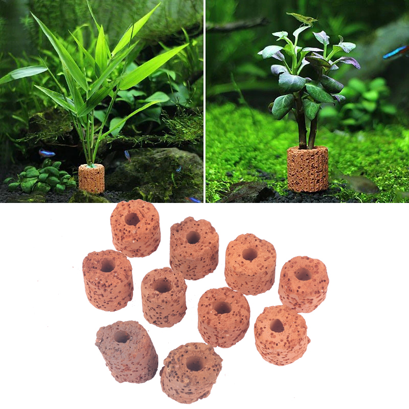 10 unidades de anillos cerámic - Aquarium Plant Utensils reseña y precio