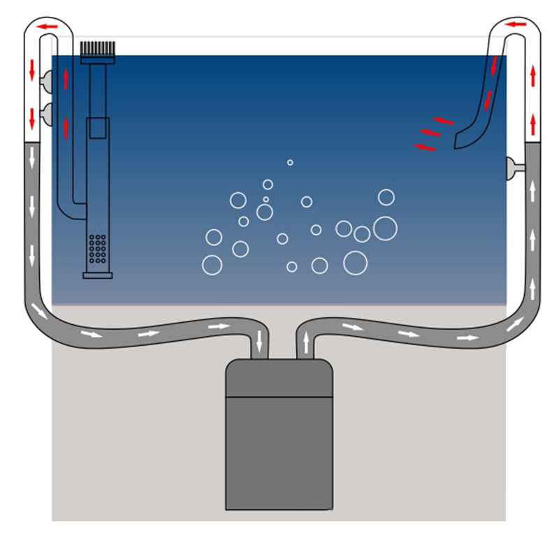 Tubería de lirio para tanque d - Aquarium Planted Tank Filter reseña y precio