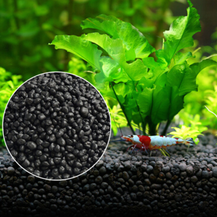 Semillas de plantas de Acuario - Planted Aquarium Moss reseña y precio