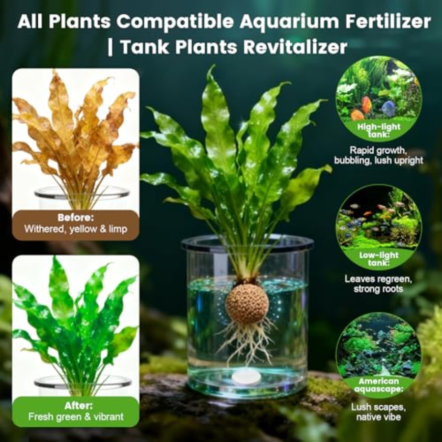 Tabletas de Fertilizante para  - Aquarium Plant Root Fertilizer reseña y precio
