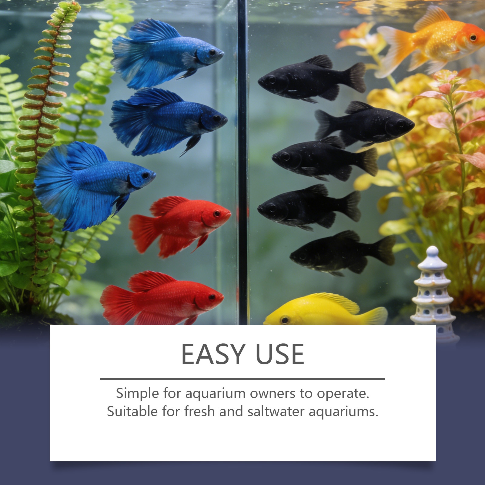 Tabletas Removedoras de Algas  - Planted Aquarium Cloudy Water reseña y precio