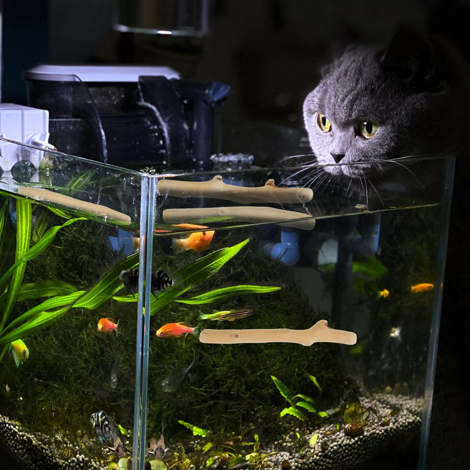 1 Set de Decoración de Madera  - Planted Aquarium Ph reseña y precio
