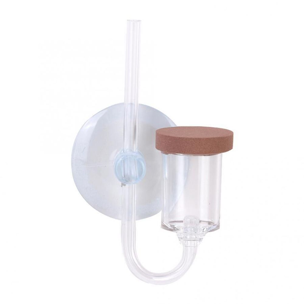 Mini pecera acrílica, planta v - Planted Aquarium Co2 reseña y precio