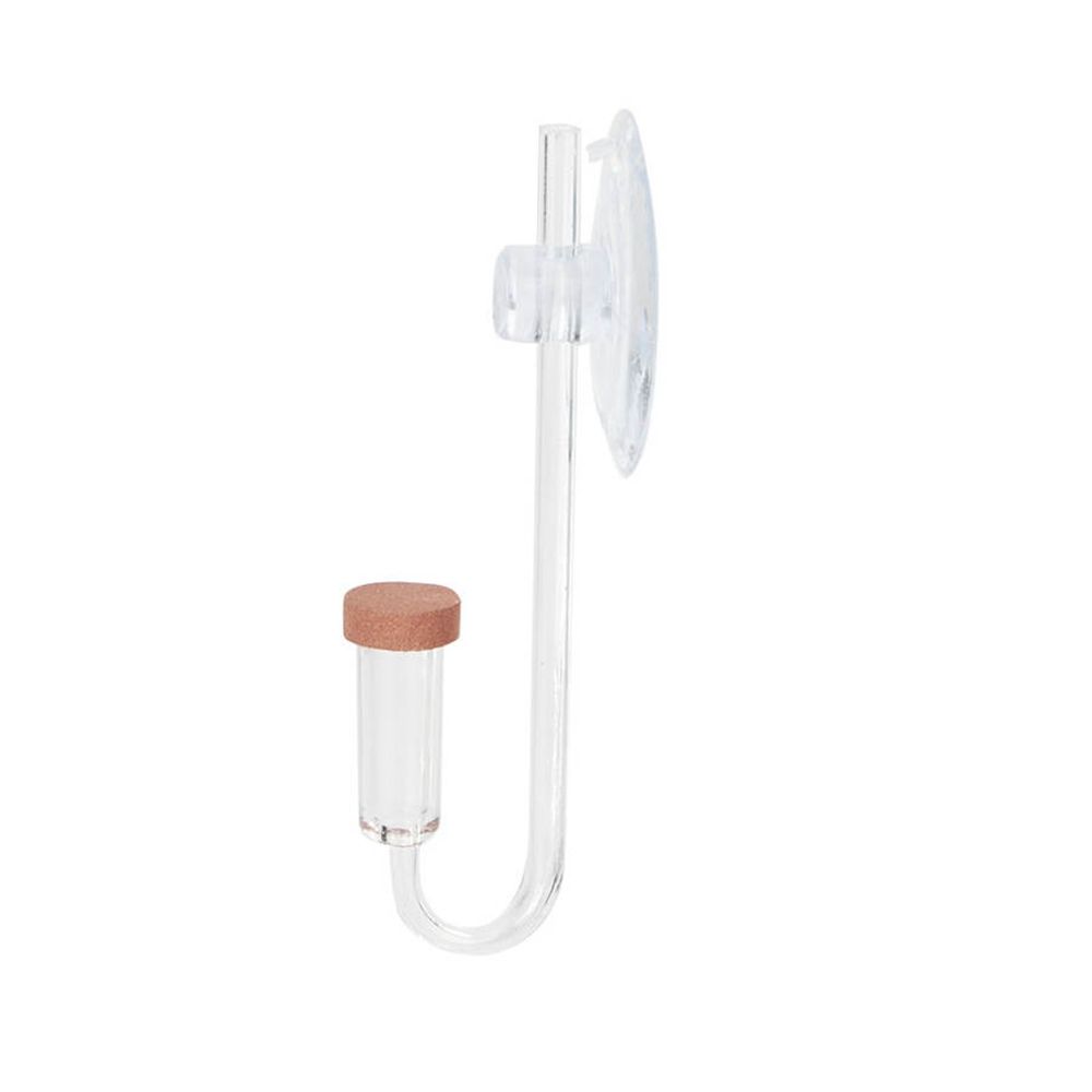 Mini pecera acrílica, planta v - Planted Aquarium Co2 reseña y precio