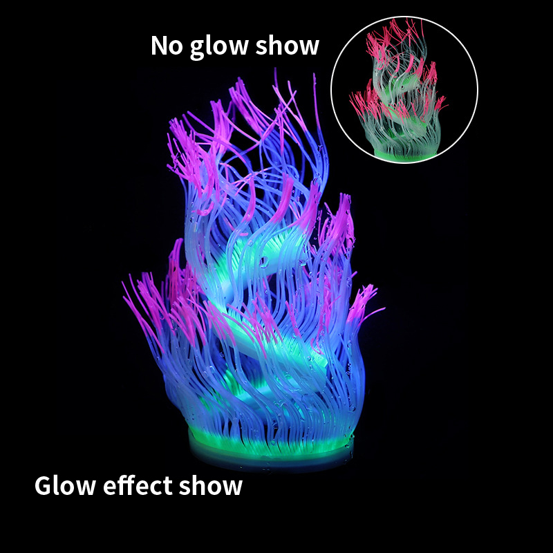 Plantas de Coral de anémona ma - Aquarium Plant Gel reseña y precio