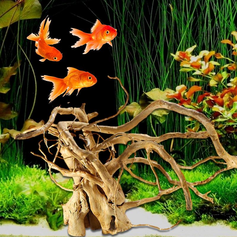 Decoración de madera flotante  - Aquarium Plant Glue reseña y precio