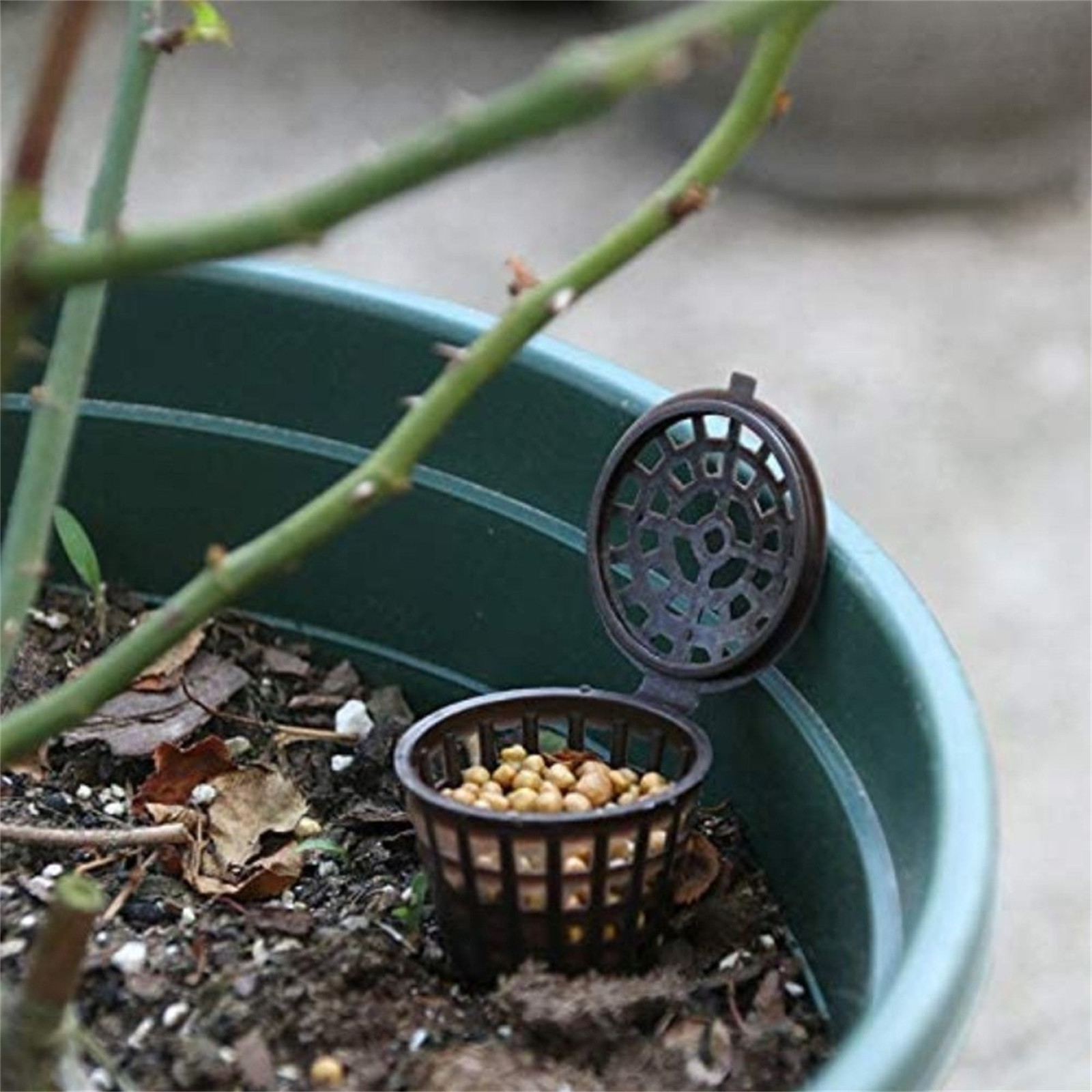 Cesta de plástico para fertili - Aquarium Plant Root Fertilizer reseña y precio