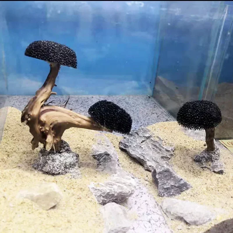 Planta para pecera, decoración - Planted Aquarium Without Fish reseña y precio