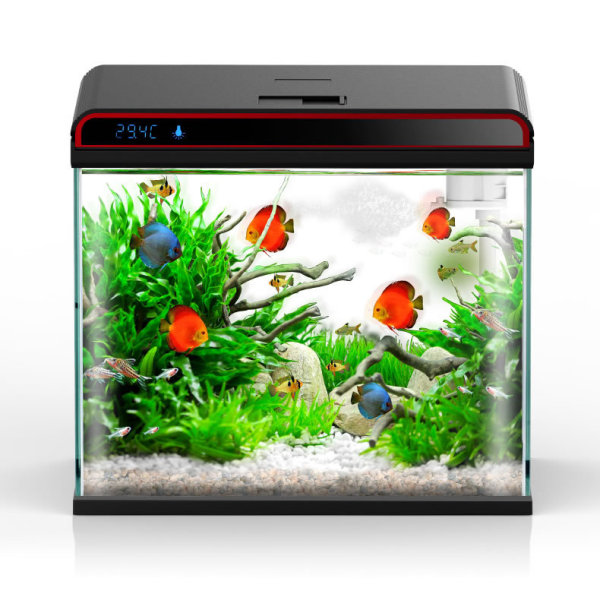 Acondicionador de agua para ac - Planted Aquarium Ph reseña y precio