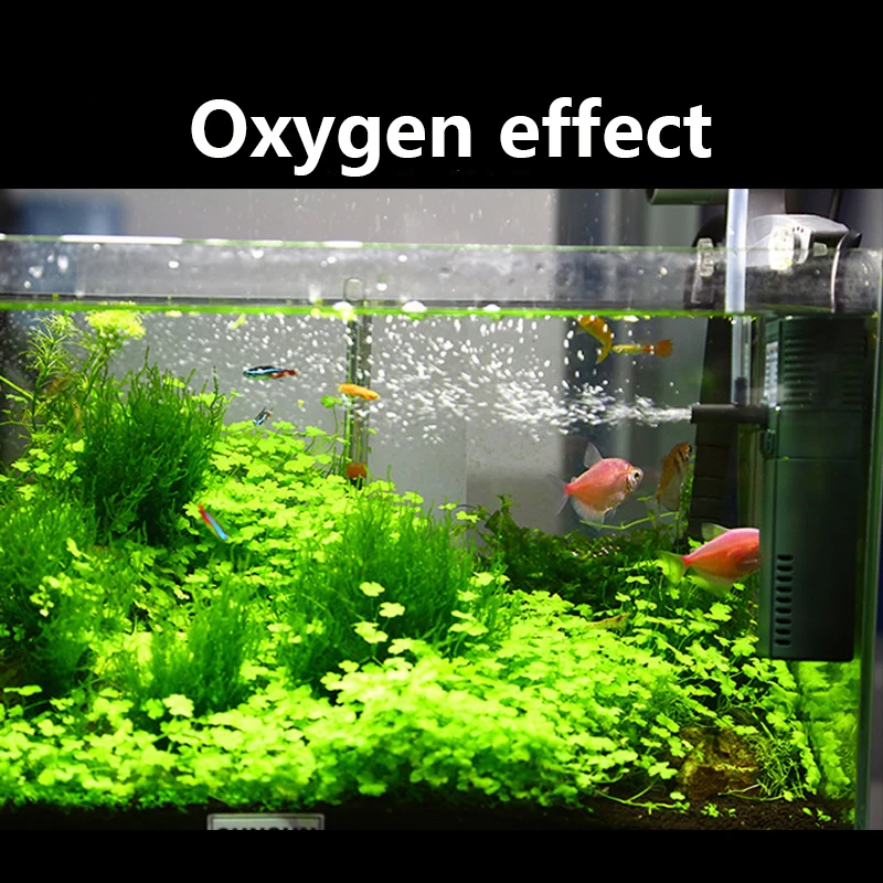 SUNSUN-bomba sumergible de oxí - Aquarium Planted Tank Filter reseña y precio