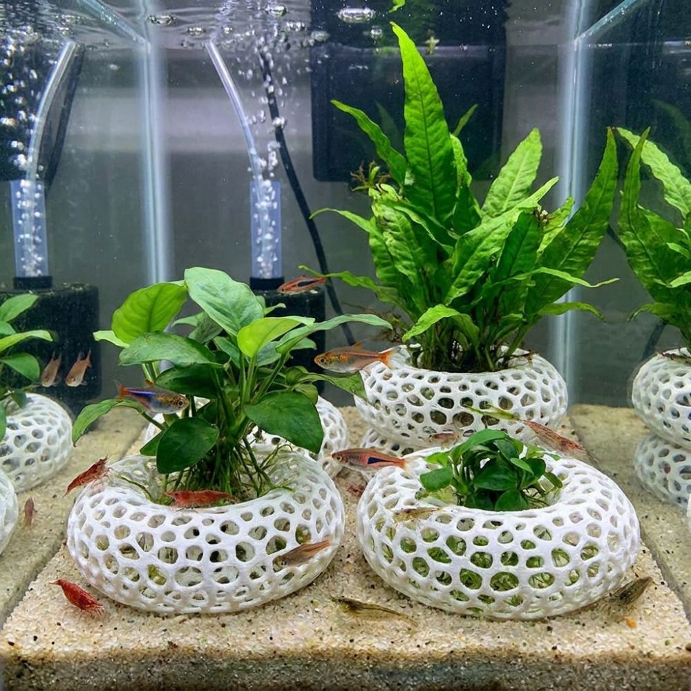 Cueva de Escondite para Peces  - Planted Aquarium Moss reseña y precio