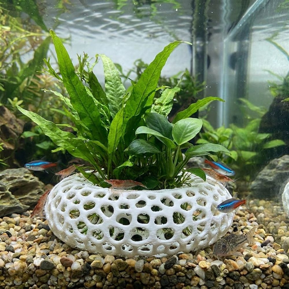 Cueva de Escondite para Peces  - Planted Aquarium Moss reseña y precio